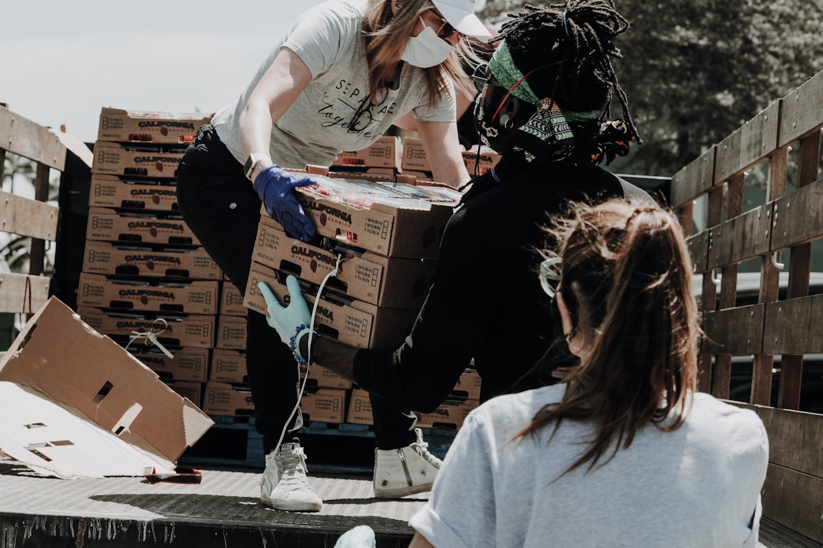 UNEAP programme in the field